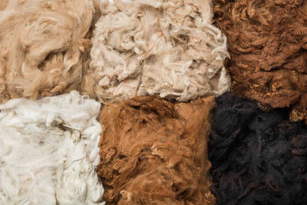 alpaca wool fibre colours