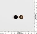 Metal Buttons #2