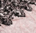 Embroidered Chantilly Lace #4