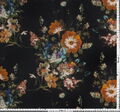 Rainwear Fabric #2