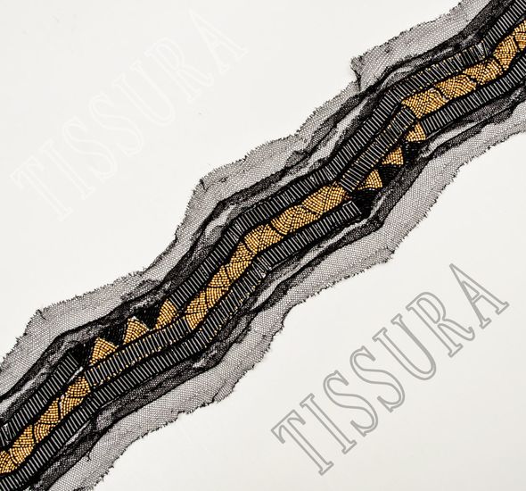 Embroidered Tulle Trim #1