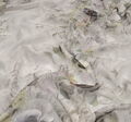 Silk Chiffon #3