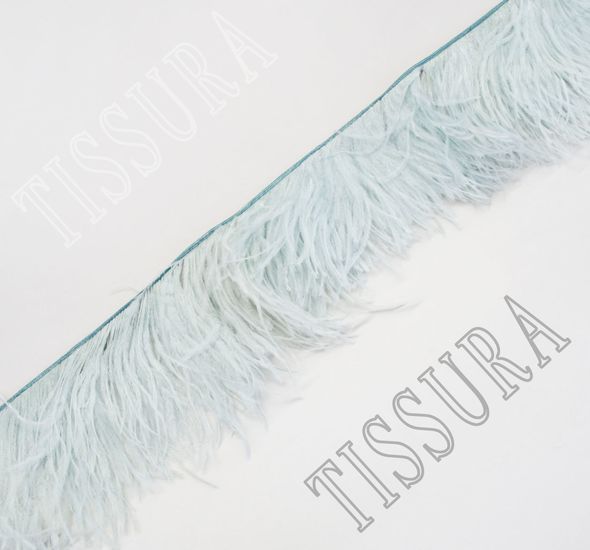 Ostrich Feather Trim #1