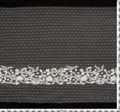 Embroidered Tulle Trim #2