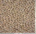 Tweed Boucle #2