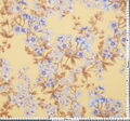 Silk Georgette #2