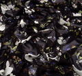 Silk Georgette #3