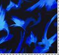 Silk Crepe de Chine #2