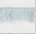 Ostrich Feather Trim #2