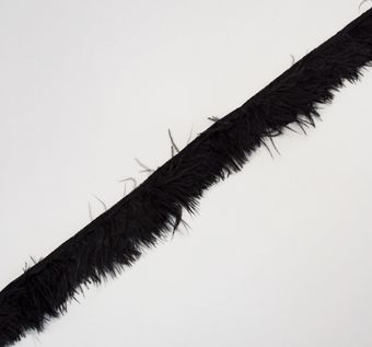 Ostrich Feather Trim #1