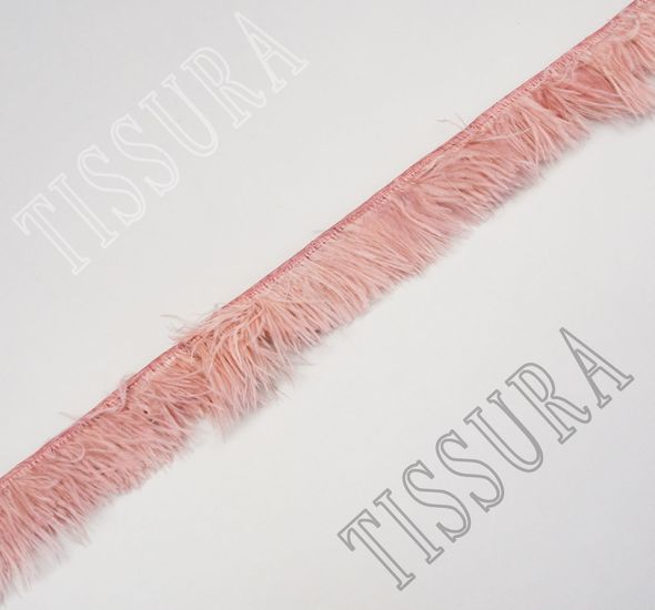 Ostrich Feather Trim #1