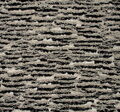 Embroidered Lace Trim Tulle #2