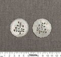 Mother of Pearl Buttons #2