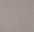 Cotton Lawn #3