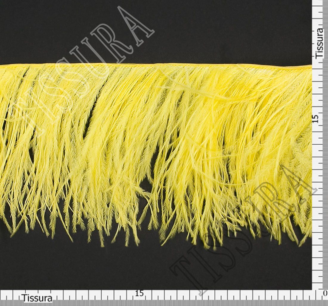 Ostrich Feather Trim: Fashion Feather Trimmings from Italy, SKU