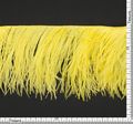 Ostrich Feather Trim #2