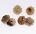 Horn Buttons #3