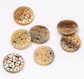 Horn Buttons #3