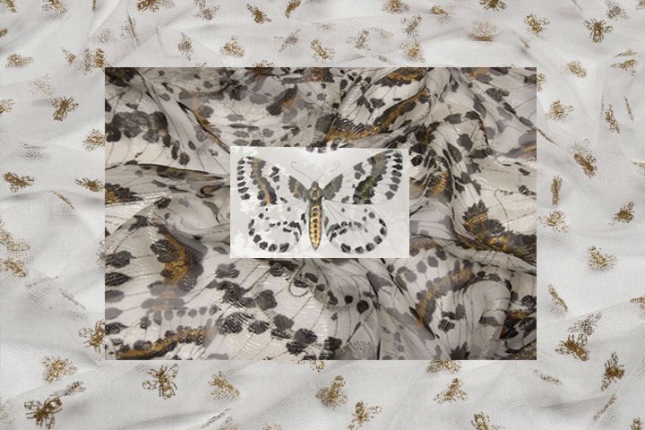 Bees & butterflies print fabrics