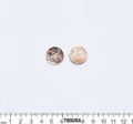 Mother of Pearl Buttons #3