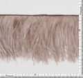 Ostrich Feather Trim #2