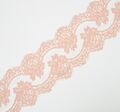 Corded Lace Trim #1