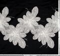 Embroidered Organza Trim #2