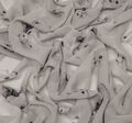 Silk Georgette #3