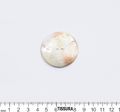 Mother of Pearl Buttons #2