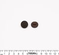 Plastic Buttons #2