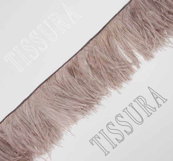 Ostrich Feather Trim #1