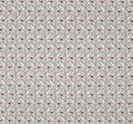 Cotton  #3