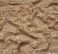Guipure Lace #4