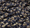 Silk Crepe de Chine #3