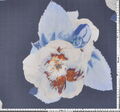 Silk Chiffon #2