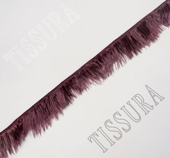 Ostrich Feather Trim #1