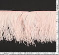 Ostrich Feather Trim #2