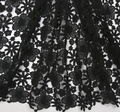Guipure Lace #3
