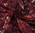 Embroidered Sequined Tulle #4
