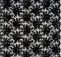 Embroidered & Feathered Corded Lace #2