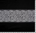 Chantilly Lace Trim #2