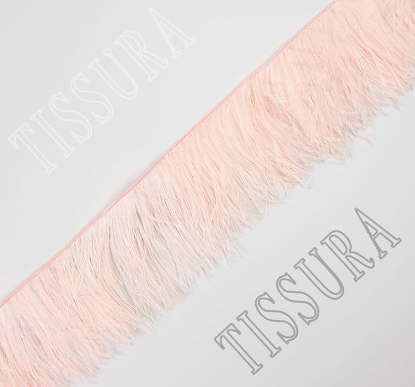 Ostrich Feather Trim #1