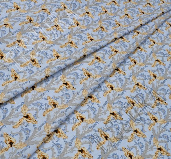 Cotton #1