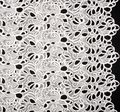 Embroidered Cutwork Organza #3