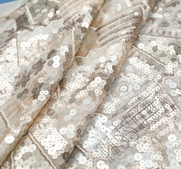 Sequined Embroidered Chiffon #1