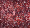 Embroidered Sequined Tulle #3
