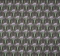 Stretch Cotton Sateen #3