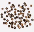 Horn Buttons #3