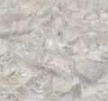Applique Embroidered Chantilly Lace #4