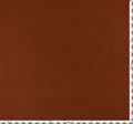 Silk Shantung Taffeta #2
